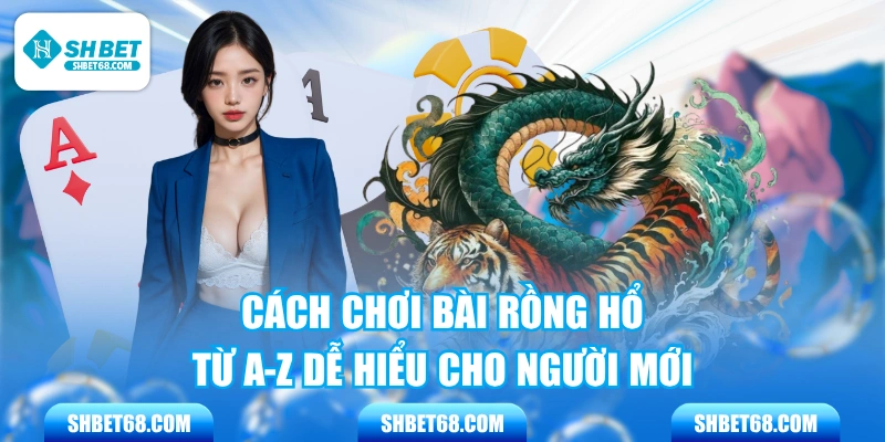 Cách Chơi Bài Rồng Hổ Từ A-Z Dễ Hiểu Cho Người Mới 